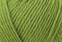Load image into Gallery viewer, Rowan Pure Wool Superwash Worsted
