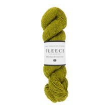 Load image into Gallery viewer, WYS Fleece BFL DK
