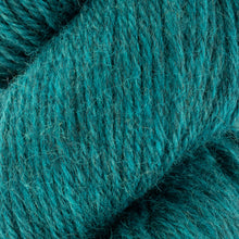 Load image into Gallery viewer, WYS Fleece BFL DK
