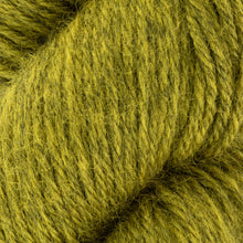 Load image into Gallery viewer, WYS Fleece BFL DK
